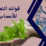 فوائد النعناع للاعصاب
