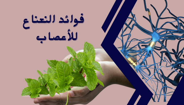 فوائد النعناع للاعصاب