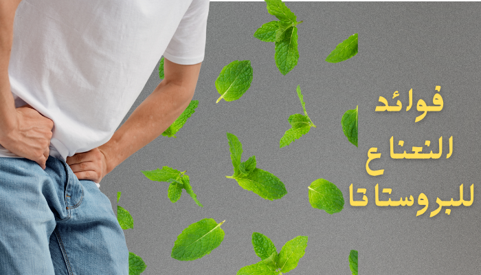 فوائد النعناع للبروستاتا